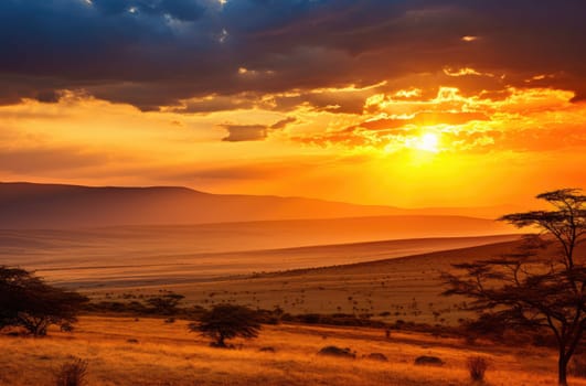 sunset in the great rift valley the wildlife.