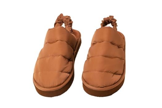 Slippers isolated. Close-up of a pair of female brown warm and soft cosy terry house slippers isolated on white background. Womens shoes. Macro.