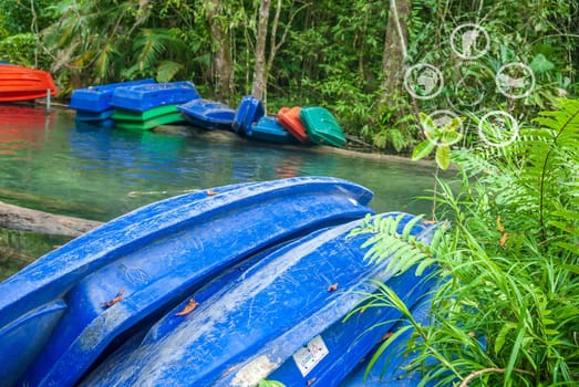 Eco tourism, Sustainable tourism, Green tourism and Ecosystem and preserve nature concept, River in forest and tree with boat, View water river tree, Tree and river in forest, Travel nature conservation