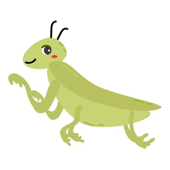 cute praing mantis cartoon character of animals. Vector illustration isolated. Cute childish design of baby animals - insects.