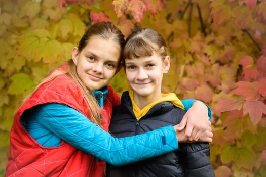 Close-up portrait of two girls of Slavic appearance in casual autumn clothes against the background of an autumn forest