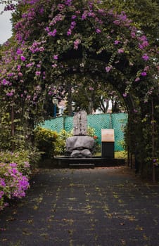 Singapore - July 9 2023: Japanese Tombstone Amid Pink Blooms