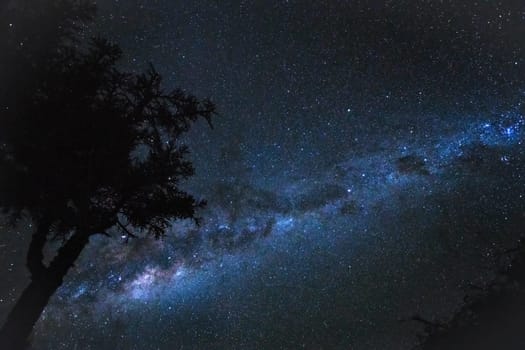 Night stars sky with Milkyway galaxy over tree silhouette, as seen from Madagascar coast in Anakao