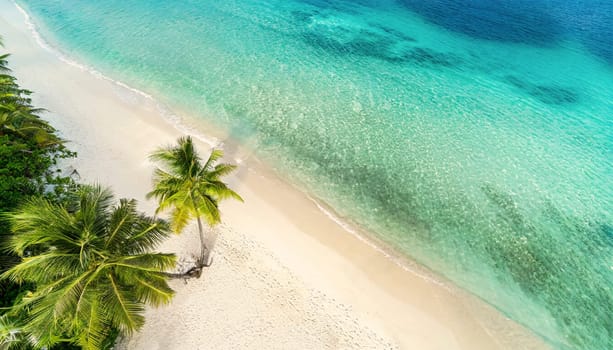 Aerial view of tropical island with palm trees and sandy beach. AI generated