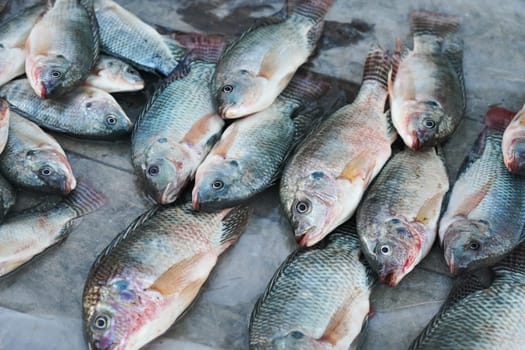 Wet sea fishes displayed on street market at Ranohira, Madagascar