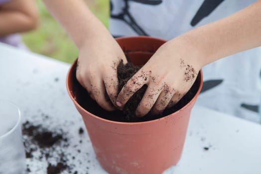 Grass heads workshop for children. Kid hands mixing seeds and compost