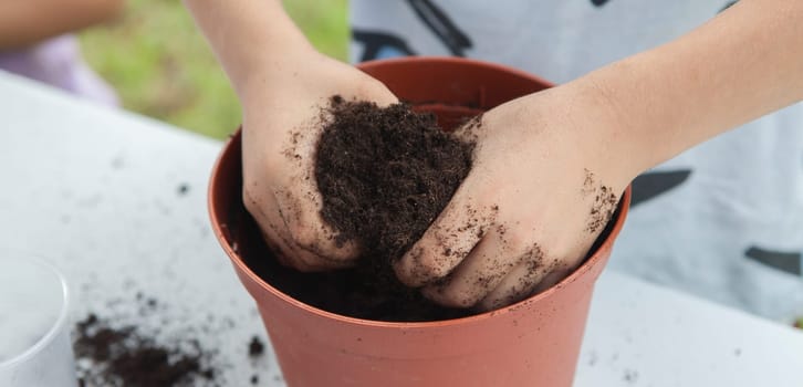 Grass heads workshop for children. Kid hands mixing seeds and compost