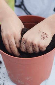 Grass heads workshop for children. Kid hands mixing seeds and compost