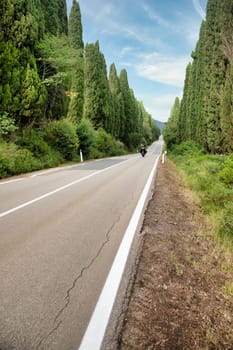 Tuscany, Italy. Asphalt line in nature, panoramic road to travel destination Bolgheri