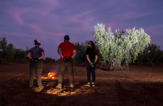 Bonfire lit in an olive grove in the early morning. Three olive pickers warming up themselves