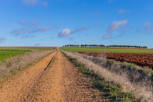 Andalucia, Spain, 04 December, 2022: Pilgrim walk along the Camino De Santiago, the Way of St. James pilgrimage route, Extremadura, Spain.