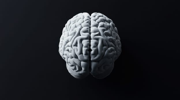 High-quality 3D illustration of a human brain with realistic texture and details, displayed on a clean white background. Ideal for use in medical presentations, neuroscience research..