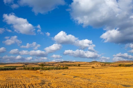 view of a crop field in the north of Spain
