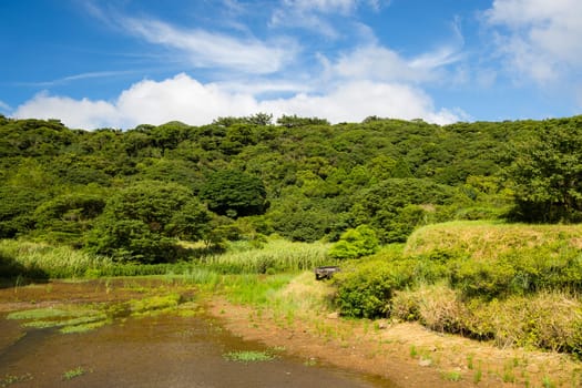 Beautiful lake and forest scenery