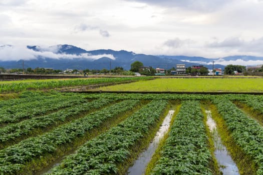 Yilan countryside in jiaoxi district