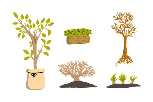 set of plants for garden - spring set. Vector illustration isolated. Vector illustration included tree without leaves and with leaves, seedlings plant.