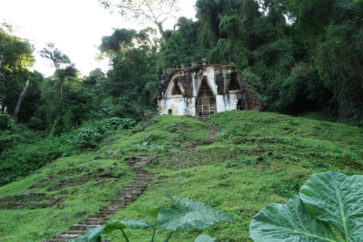The Temple of the Cross/Templo de la Cruz settled on a hill in the dense rainforest, archaeological site of Palenque, Mexico 2022