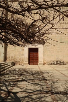 A tree casting interesting shadow patterns in front of a door in downtown Oaxaca, Mexico 2022