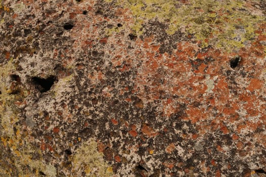 Big rock overgrown with red, black, green and yellow moss at the archaeological site of Mitla, Oaxaca, Mexico 2022