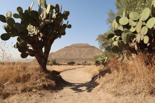 Approaching the Pyramid of the Sun while passing cactuses in a desert-like lanscape, Teotihuacan, Mexico City 2022
