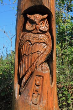 An owl carved from a tree trunk, bird