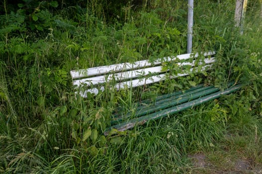 Old bench overgrown with plants in green nature