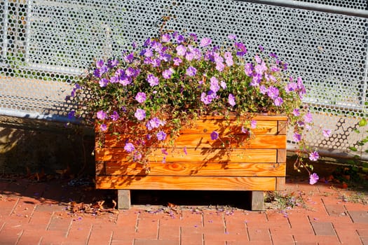 Flowers in a wooden flower pot standing on the street, Germany
