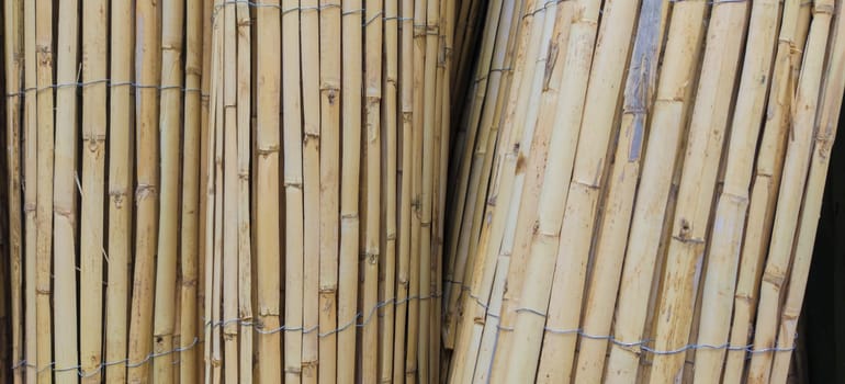 Garden fence rolls built with wattle. Selective focus