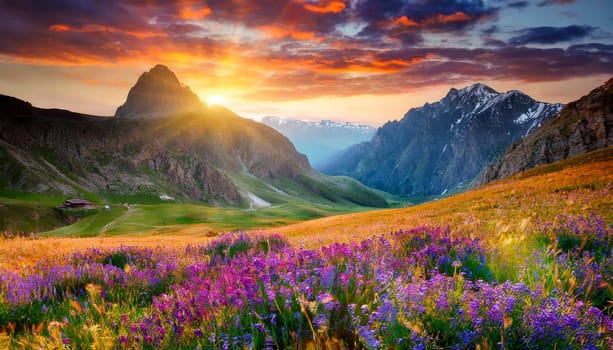 Mountain meadow with flowers at sunset. Colorful summer landscape. AI generated