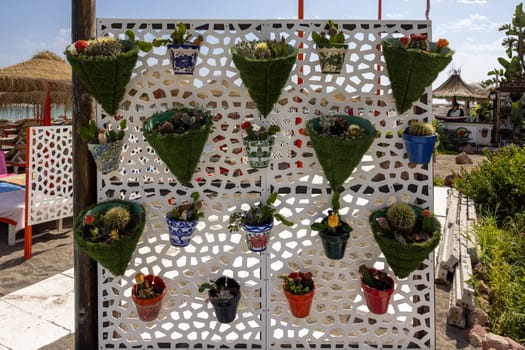 Torremolinos, Spain - September 15, 2023: Floristic composition of cacti and sedum on the promenade in Torremolinos. Costa del Sol. Spain