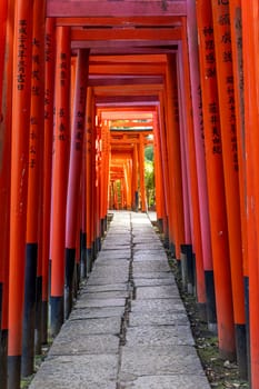 torii at Otome Inari Shrine in Tokyo