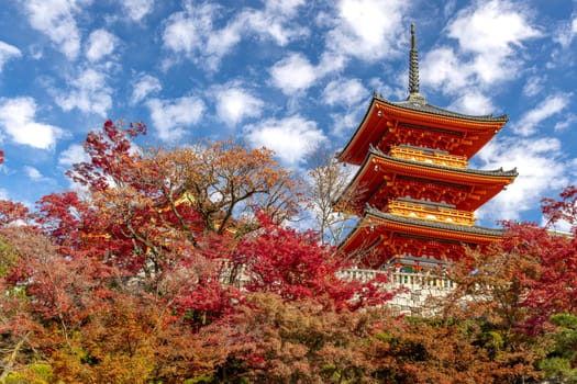kiyomizu dera pagoda in autumn, Kyoto Japan