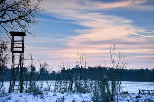 Winter landscape with trees at the edge of a snow-covered field with a raised hide. Winter landscape shot