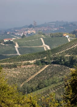 Langhe vineyards near Barolo and La Morra, Unesco Site, Piedmont, Italy