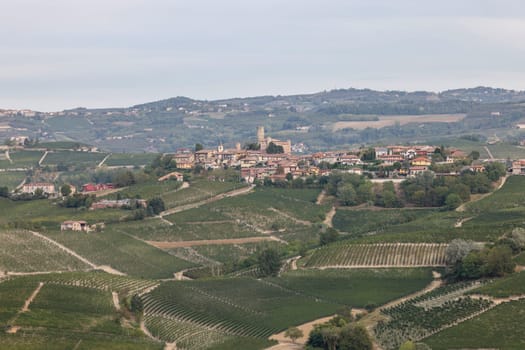 Langhe vineyards near Serralunga d'Alba. Unesco Site, Piedmont, Italy
