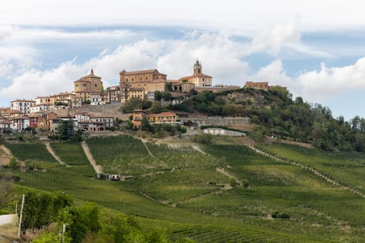 Langhe vineyards near La Morra, Unesco Site, Piedmont, Italy