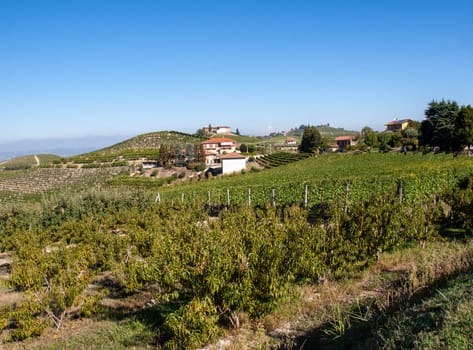 Langhe vineyards near Barolo Unesco Site, Piedmont, Italy