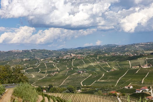 Langhe vineyards near Barolo Unesco Site, Piedmont, Italy