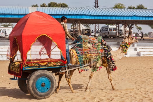 PUSHKAR, INDIA - NOVEMBER 22, 2012: Camel taxi for tourists at Pushkar camel fair (Pushkar Mela) - annual five-day camel and livestock fair one of world's largest camel fairs and tourist attraction