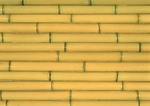 Horizontal arrangement of yellow bamboo in close-up
