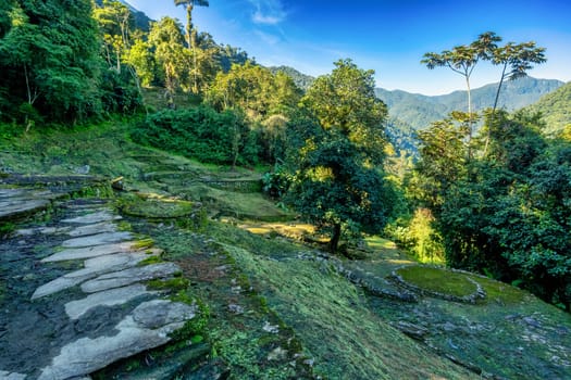 Hidden ancient ruins of Tayrona civilization Ciudad Perdida in the heart of the Colombian jungle Lost city of Teyuna. Santa Marta, Sierra Nevada mountains, Colombia wilderness