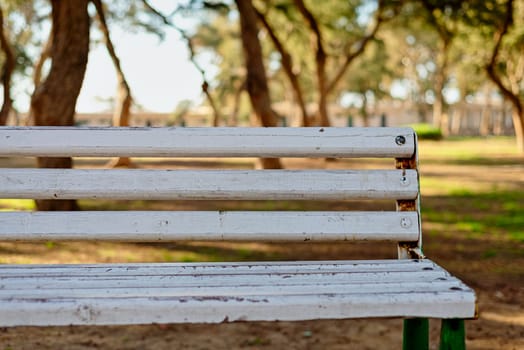 Close-up view of a white wooden bench in a park with a backdrop of trees indicating a peaceful afternoon setting