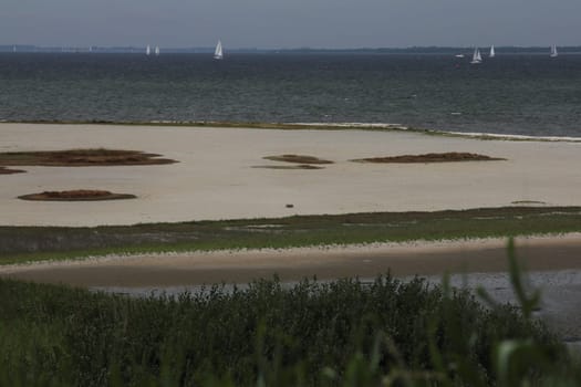 Waves with white crests inundate the sandy beach