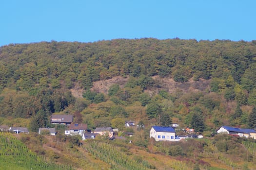 a small idyllic village in the forest, blue sky in background