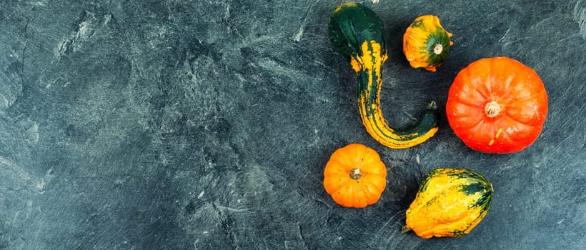 Decorative autumn pumpkins. Autumn background with pumpkins, copy space.