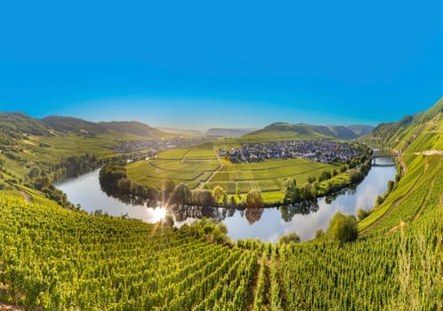 scenic moselle river loop at Leiwen, Trittenheim in Germany
