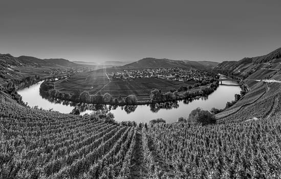 scenic moselle river loop at Leiwen, Trittenheim in Germany