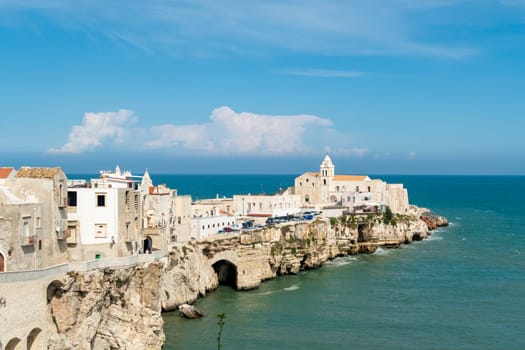 The coast and the houses of Vieste, Gargano, Puglia