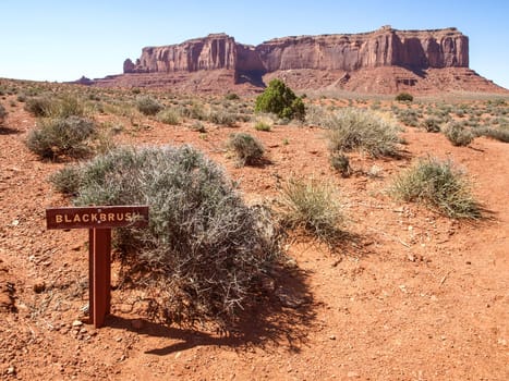 Landscape of the ancient rocks. Monument Valley, Arizona