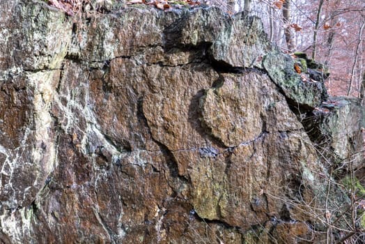 detail of rock in the forest, in different colors and cracked